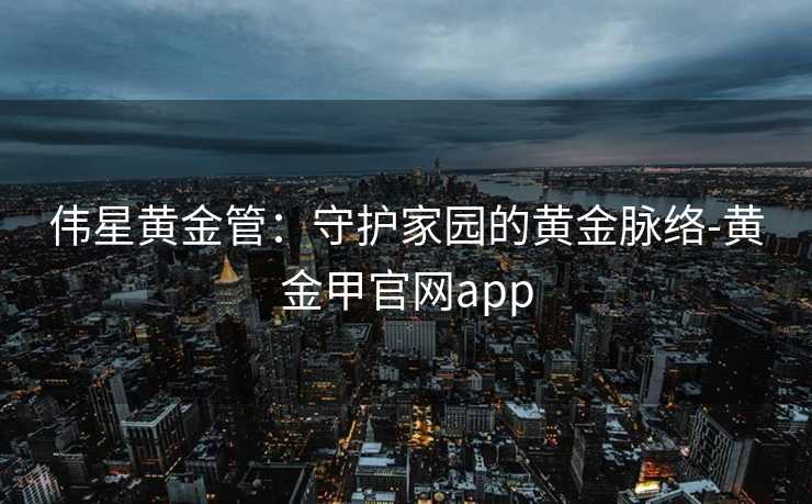 伟星黄金管:守护家园的黄金脉络-黄金甲官网app