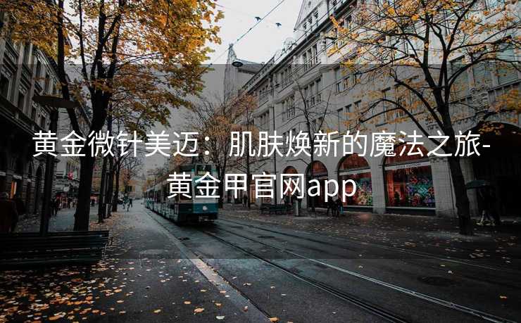 黄金微针美迈:肌肤焕新的魔法之旅-黄金甲官网app