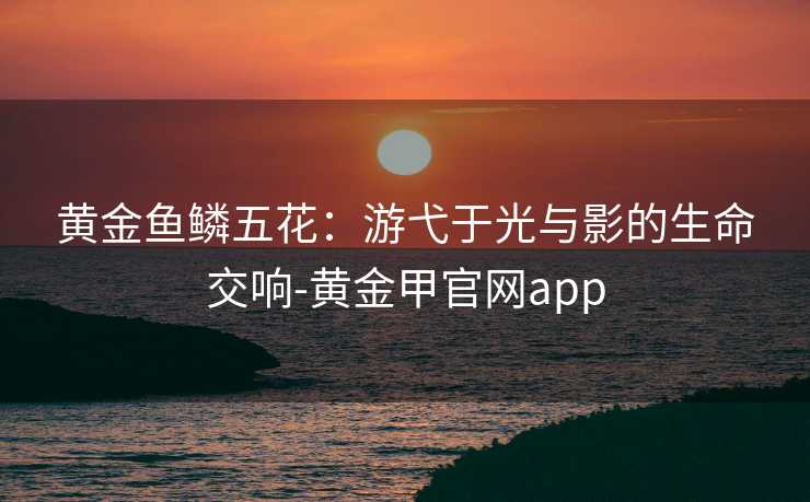 黄金鱼鳞五花：游弋于光与影的生命交响-黄金甲官网app