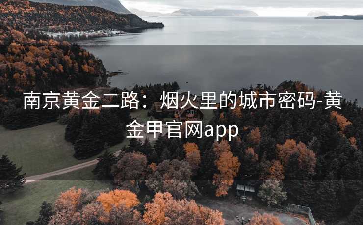 南京黄金二路:烟火里的城市密码-黄金甲官网app