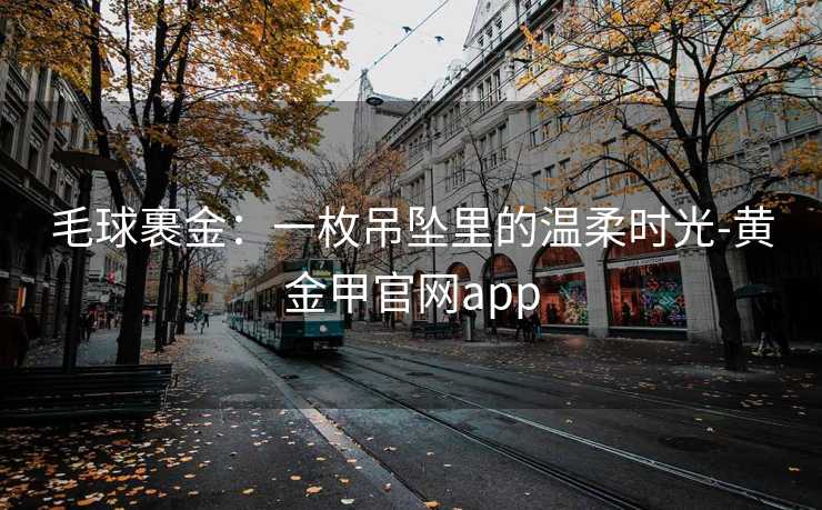 毛球裹金:一枚吊坠里的温柔时光-黄金甲官网app