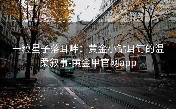 一粒星子落耳畔：黄金小钻耳钉的温柔叙事-黄金甲官网app