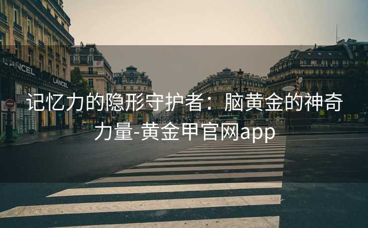 记忆力的隐形守护者：脑黄金的神奇力量-黄金甲官网app