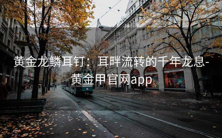 黄金龙鳞耳钉：耳畔流转的千年龙息-黄金甲官网app