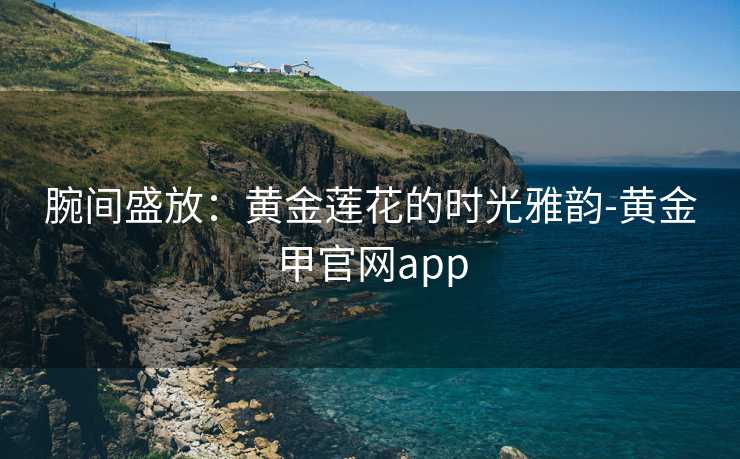 腕间盛放：黄金莲花的时光雅韵-黄金甲官网app