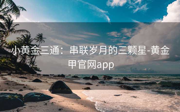 小黄金三通：串联岁月的三颗星-黄金甲官网app